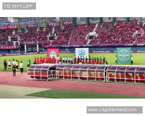 河南建业与广州恒大足协杯对决精彩回顾与赛后分析